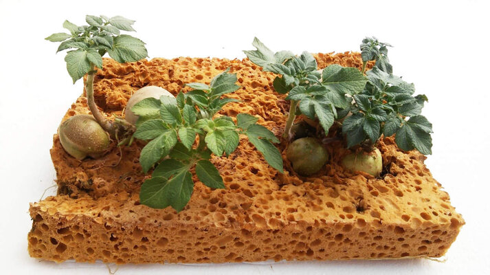 Space Gardening