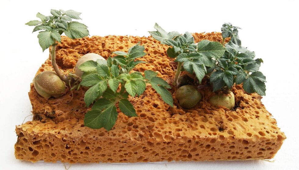 Space Gardening